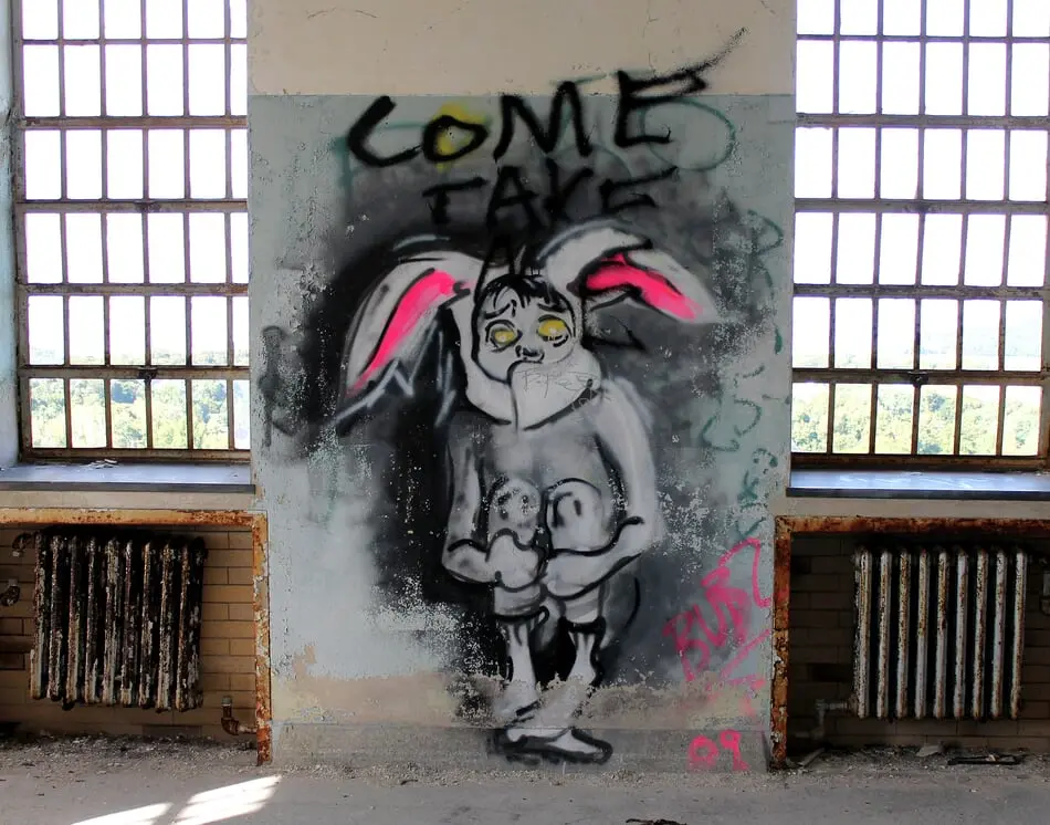 Derelict & Decay: A Retrospective Look at Kings Park Psychiatric Center  photo