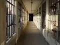 Take a Behind-the-Scenes Tour of the Abandoned Ellis Island Hospital
