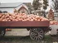 Two Vermont Towns Dubbed Best Spots to Celebrate Halloween in the US