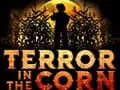2023 Question and Answer With Terror in the Corn