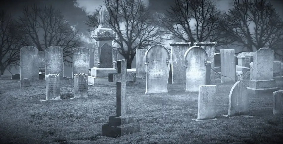 Halloween Movie Night in the Cemetery Quickly Cancelled, Backlash from Loved Ones of the Dead photo