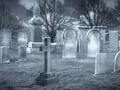 Halloween Movie Night in the Cemetery Quickly Cancelled, Backlash from Loved Ones of the Dead