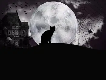 There's Still Some Spooky Fun to Be Had this Weekend Here in Charlotte!