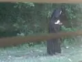 The Not-So Mysterious Story Behind Cloaked Figure in Gastonia North Carolina
