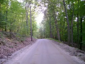 Connecticut's Haunted Roads that You May Not Want to Explore on Your Next Road Trip