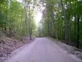 Connecticut's Haunted Roads that You May Not Want to Explore on Your Next Road Trip