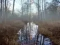 Creepy Creek Haunted Trail Stirring Up Some Serious Scares this Halloween Season!