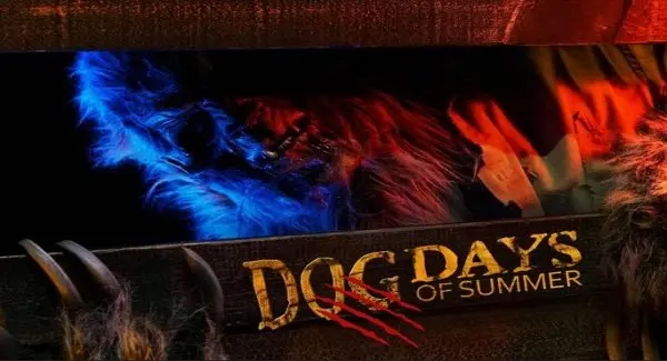 Welcome to the Dog Days of Summer...