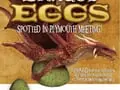 Dragon Returns to 5 Wits at Plymouth Meeting Mall!