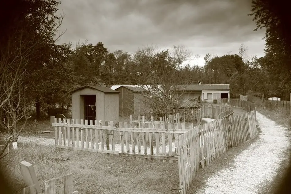 2013 cemetery scene