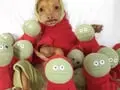 Epic Halloween Costumes by Instagram Celebrity Pets