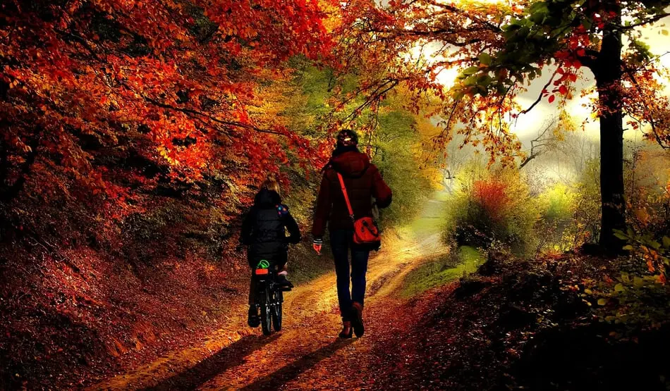 Photo by ljcor via Pixabay