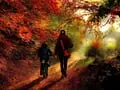 Fall Fun Bucket List: Festive Things You Don't Want to Miss Out on This October