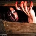 BloodShed Farms Fear Fest Returns with Gruesomely Good Fun this Halloween Season! photo