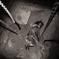 Macabre Haunts Proudly Presents Asylum II photo