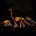 RISE of the Jack O'Lanterns: A Stunning Halloween Display for All Ages photo