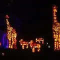 RISE of the Jack O'Lanterns: A Stunning Halloween Display for All Ages photo