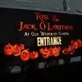 RISE of the Jack O'Lanterns: A Stunning Halloween Display for All Ages photo