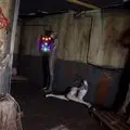 Heart Pounding Scares in Store for the 2017 Halloween Season at Sanctum of Horror! photo