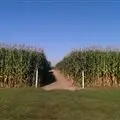 Find Out What Scares are in Store for the 2016 Halloween Season at Slaughterhouse Adventure & Grand River Corn Maze! photo