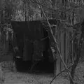 Yaphank Trail of Terror's 2016 Haunt Owner Interview with LIHauntedHouses.com photo