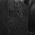 Yaphank Trail of Terror's 2016 Haunt Owner Interview with LIHauntedHouses.com photo