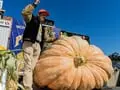 Giant Pumpkin Weighing 2,175 Pounds Sets a Record