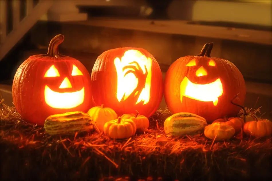 This Guy Calls Pumpkin Carving a 'Therapy' & Carves All Year Round! photo