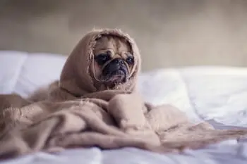 Scared to Go to Bed After Watching Too Many Horror Movies? Tips for Getting Some Sleep After Halloween Horror Binges