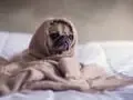 Scared to Go to Bed After Watching Too Many Horror Movies? Tips for Getting Some Sleep After Halloween Horror Binges