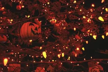 Retailers Report that Halloween Trees Are a Growing Trend