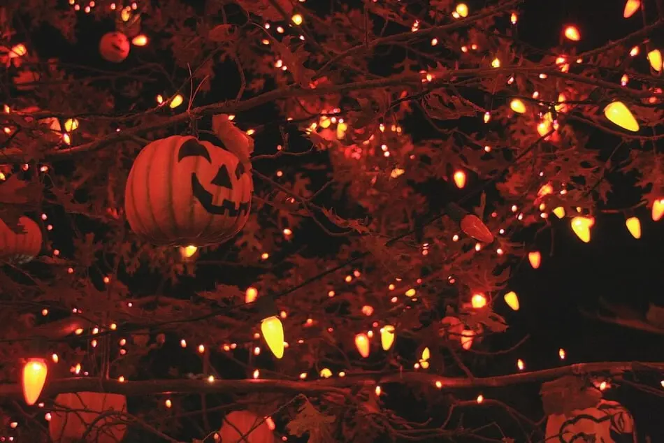 Retailers Report that Halloween Trees Are a Growing Trend photo