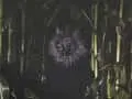 2025 Question and Answer With Haunted Corn Maze - Carlsbad Strawberry Company 