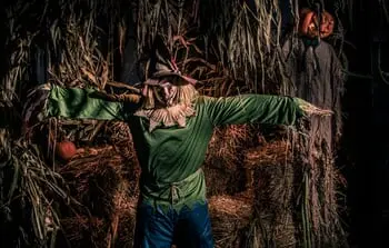 Spooky Fun Awaits this Halloween Season at The Haunted Forest at the Adventure Park!