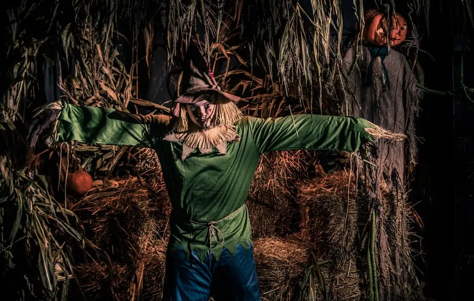 The Haunted Forest is charming and enchanting!