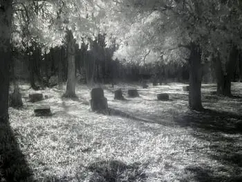 Stories From the Grave: The Hauntings of Bachelor’s Grove Cemetery