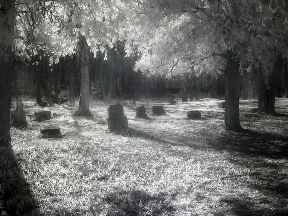 Stories From the Grave: The Hauntings of Bachelor’s Grove Cemetery photo
