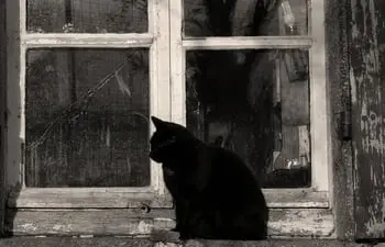 Horror Movie Tropes That Make Us Wonder 'How Can The Protagonist Be So Stupid?' Every Time