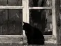 Horror Movie Tropes That Make Us Wonder 'How Can The Protagonist Be So Stupid?' Every Time
