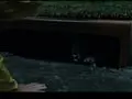 'It' Movie Breaks All Sorts of Records at the Box Office, Continues to Dominate the Horror Movie Genre