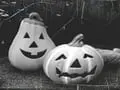 Keep the Spirit of Halloween Alive Throughout the Year with These Festive Ideas!