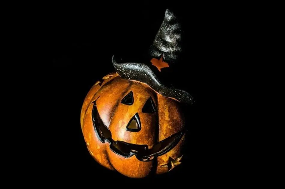 Fun & Festive Ways to Keep the Spooky Halloween Spirit Alive - No Matter the Time of Year! photo