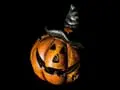 Fun & Festive Ways to Keep the Spooky Halloween Spirit Alive - No Matter the Time of Year!