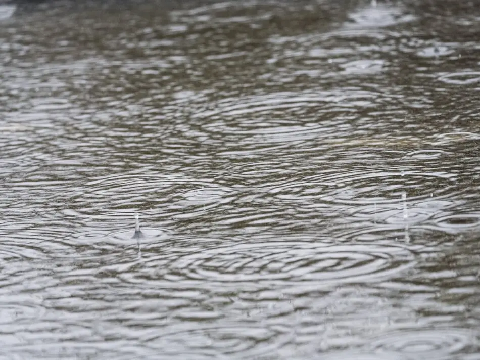 Town of Ledyard Postpones Trick-or-Treating Due to Storm Damage photo