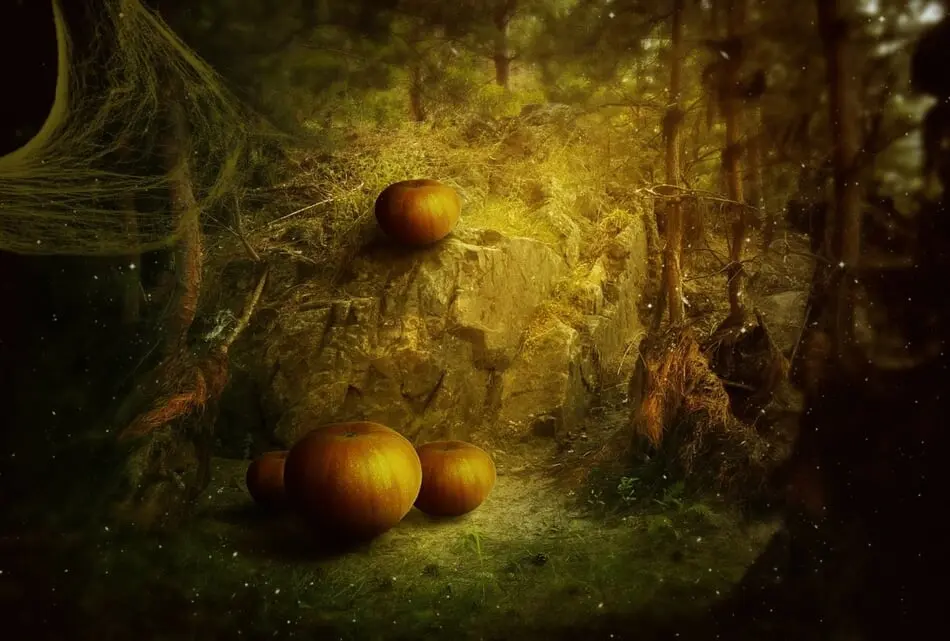 The Spooky Season is Getting Creepingly Close! photo