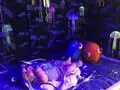 NICU Babies at Illinois Hospital Compete in Halloween Costume Contest