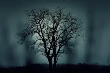 Norfolk's Spooky Spots That You've Got to Visit