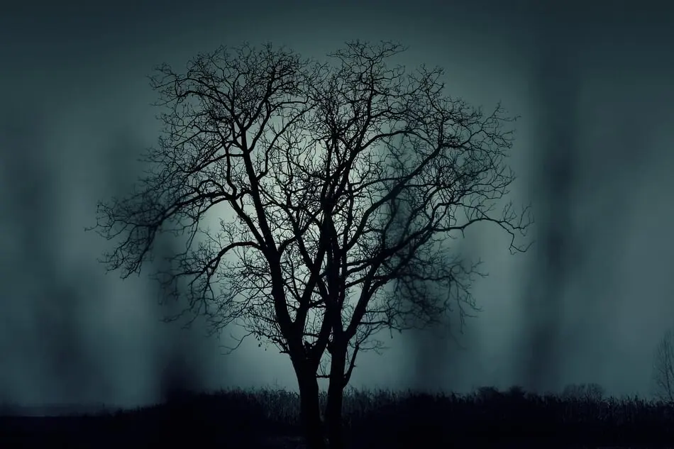Meet the ghosts and spirits of Virginia this Halloween season!