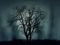 Norfolk's Spooky Spots That You've Got to Visit