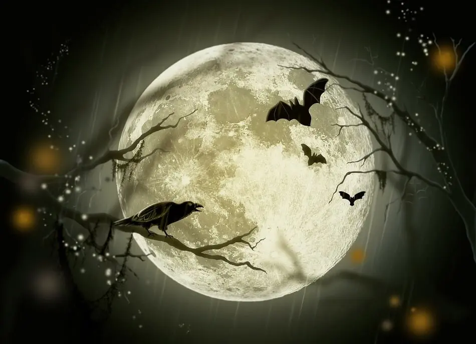 Celebrate the Heart of the Halloween Season with Some North Carolina Haunted Attractions! photo